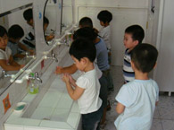 莘松第二幼儿园