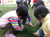 莘庄第二幼儿园清馨部