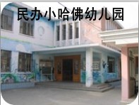 金山区民办小哈佛幼儿园 