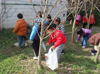 浦江镇第二幼儿园