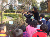 颛桥镇中心幼儿园