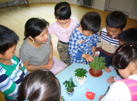 龙柏第一幼儿园